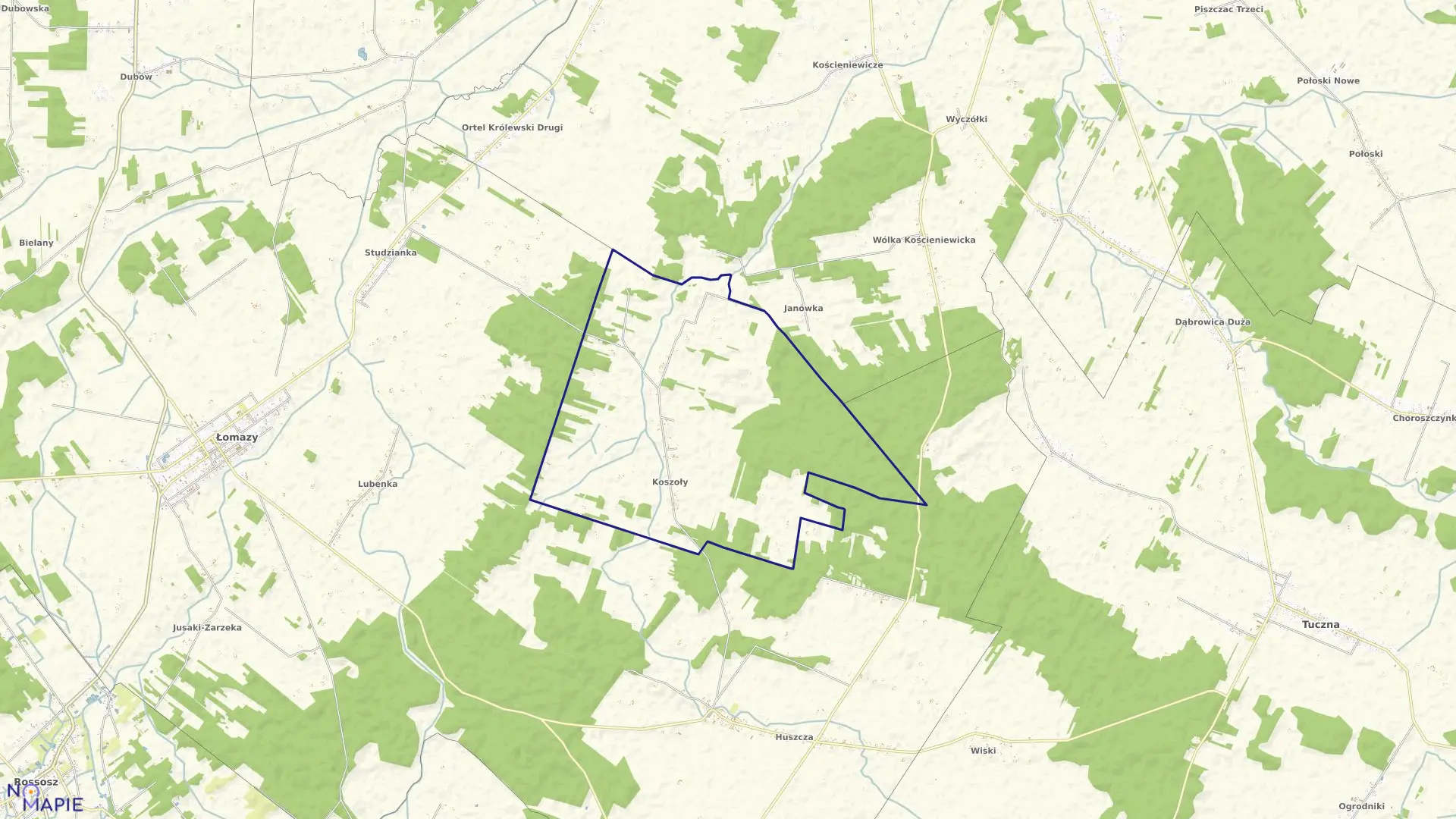 Mapa obrębu KOSZOŁY w gminie Łomazy